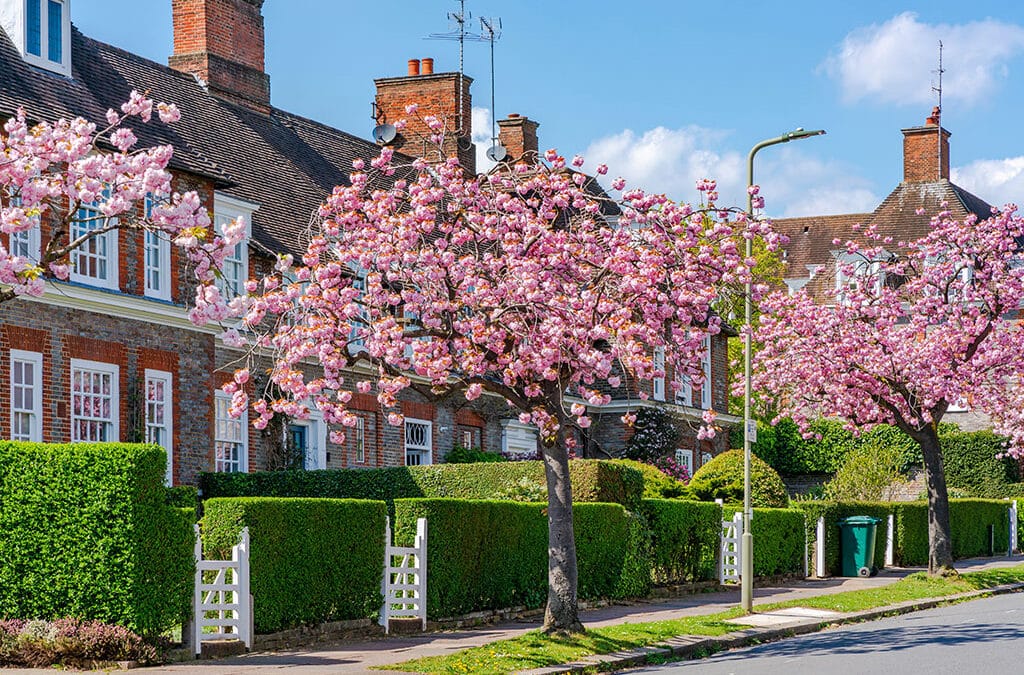 Summertime in Hampstead: Essential Property Maintenance for Your London Home